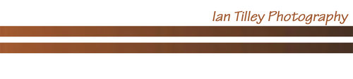 ITP logo.jpg